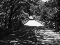 竹の上橋